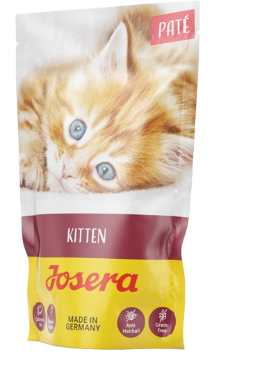 Josera Paté Kitten 16 x 85 g