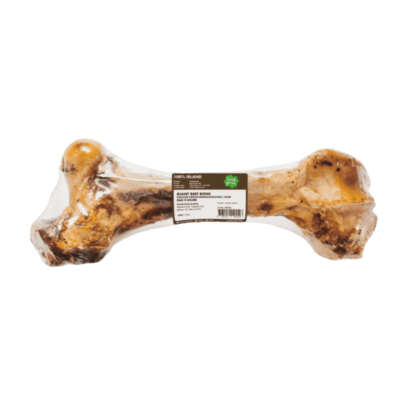 Irish Pure Giant Beef Bone – riesiger Oberschenkelknochen / Rind