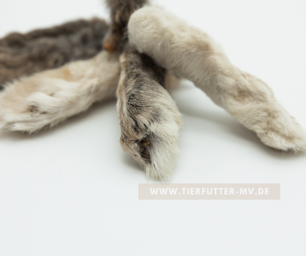 Hundesnack |Kaninchenpfoten mit Fell | Hasenpfoten + Fell | 1 KG