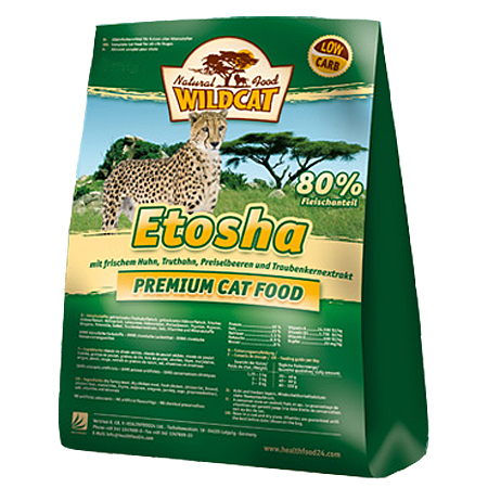 Wildcat Etosha